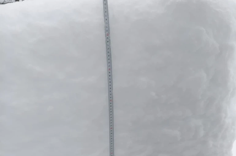 Gümüşhane’de yoğun kar yağışı sonrası yayınladığı videoyla yardım istedi 