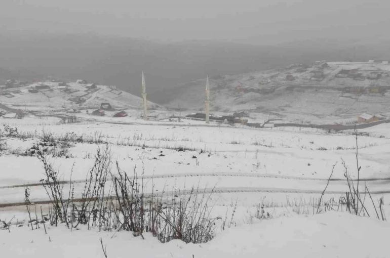 Gümüşhane’nin yüksek kesimleri beyaza büründü 