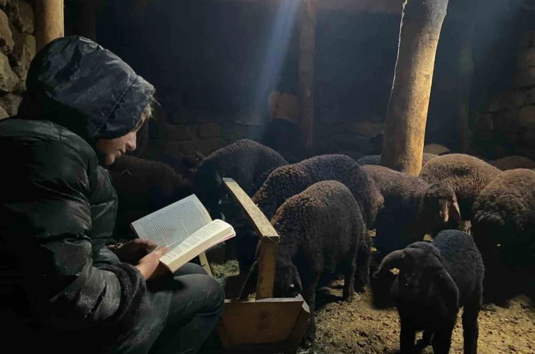 Gündüz hayvan bakıyor gece hayalleri için çalışıyor 