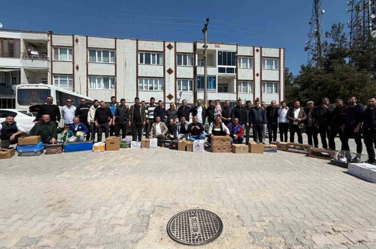 Güvercinin başkentinde gökyüzünde muhteşem şov 