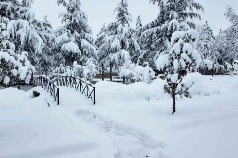 Hacılar Belediyesi ekipleri karla mücadele için sahada 