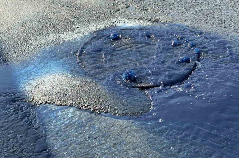 Hadımköy’de kanalizasyondan mavi atık su taştı 