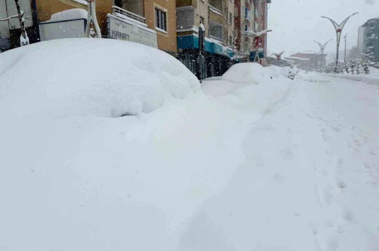Hakkari’de 357 yerleşim yerinin yolu kapandı 