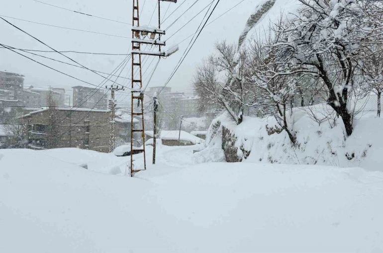 Hakkari’de 43 yerleşim yerinin yolu ulaşıma kapandı 