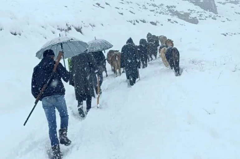 Hakkari’de dağda mahsur kalan sürü kurtarıldı 