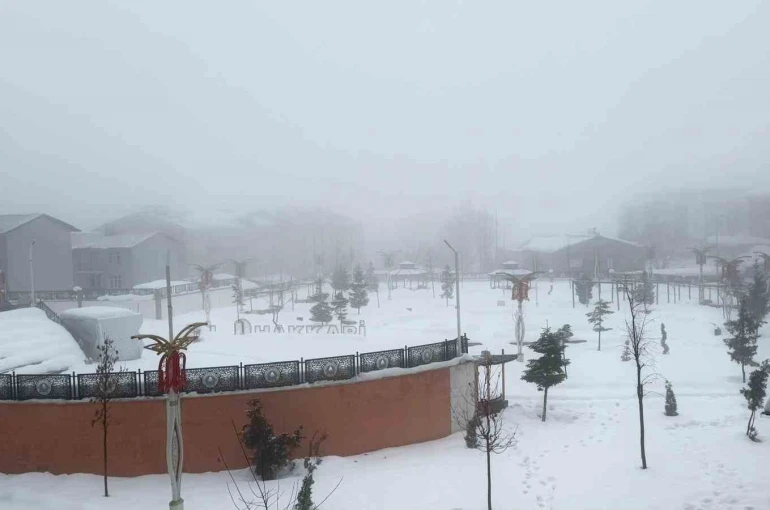 Hakkari’de karla karışık yağmur ve sis etkili oldu 