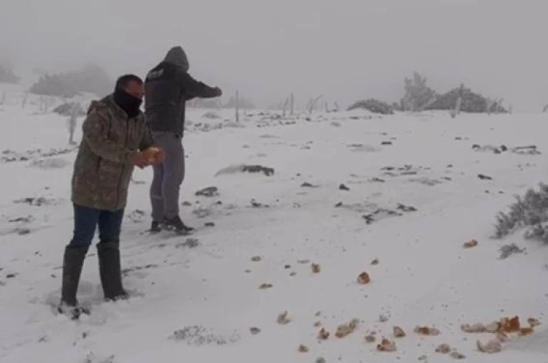 Halkapınar'da kar yağışı etkili oluyor