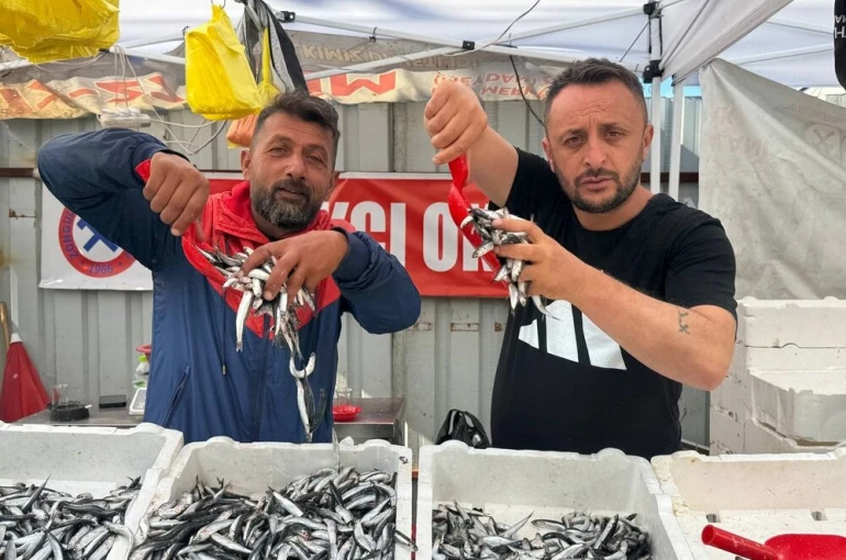 Hamsinin fiyatı 70 liraya indi, tezgahlar şenlendi