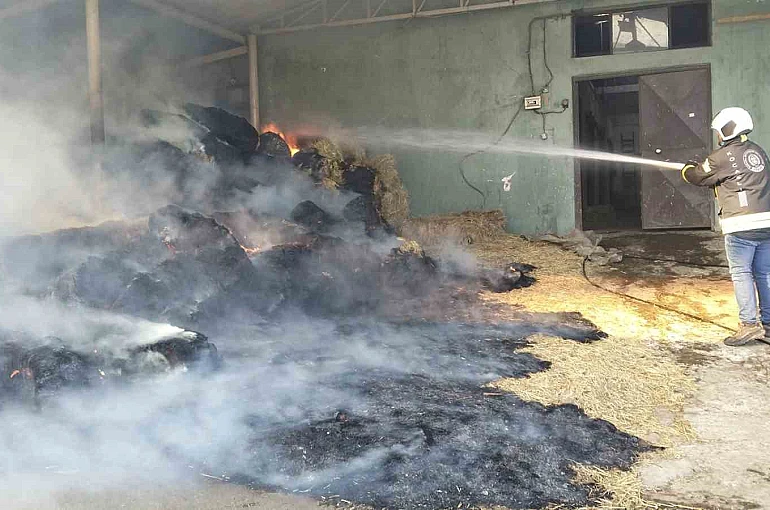 Harada çıkan yangında 70 balya saman yandı