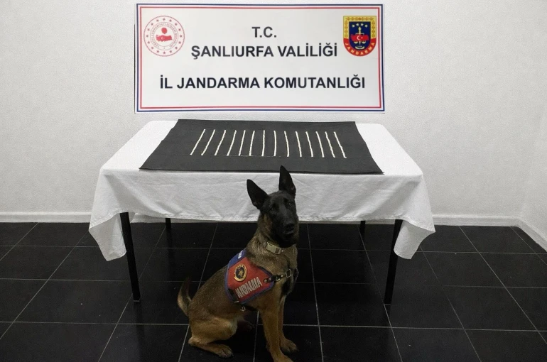 Harran’da uyuşturucu operasyonu: 2 gözaltı