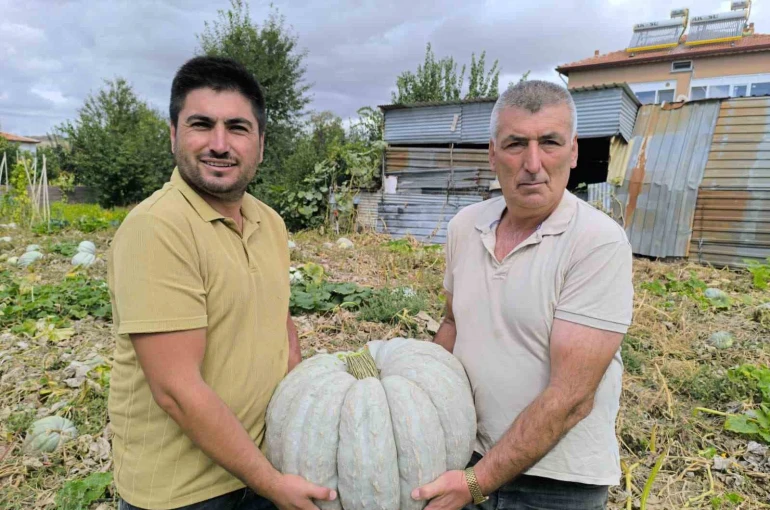 Hasadı başlayan balkabağı fiyatıyla yüzleri güldürdü 