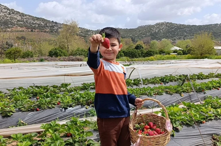Hasadı çiftçi değil, vatandaş yaptı 