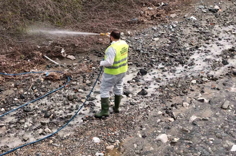 Hatay Büyükşehir Belediyesi haşereyle mücadele çalışmalarına devam ediyor 