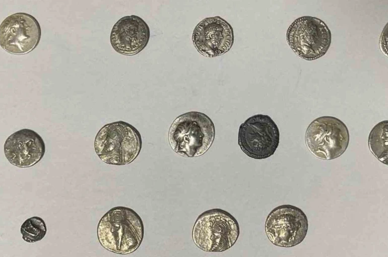 Hatay’da 26 sikke kargo ile göndermek üzereyken ele geçirildi