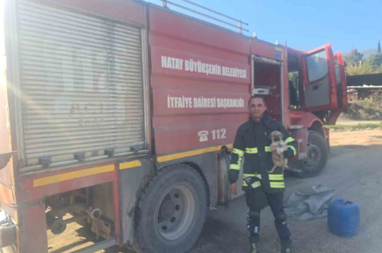 Hatay’da 6 metrelik çukurda mahsur kalan yavru köpeği itfaiye kurtardı 