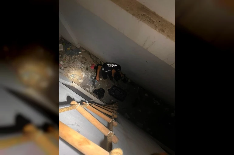 Hatay’da mahsur kalan hayvanlar kurtarıldı