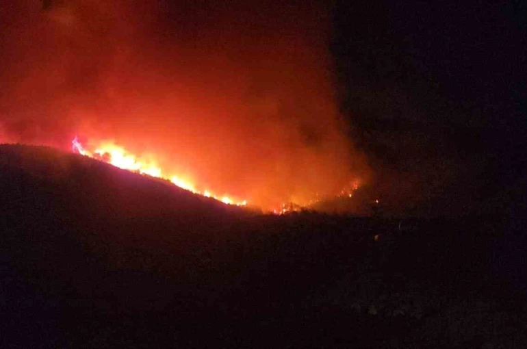 Hatay’da orman yangınının etkili olduğu bölgede evler tahliye ediliyor 