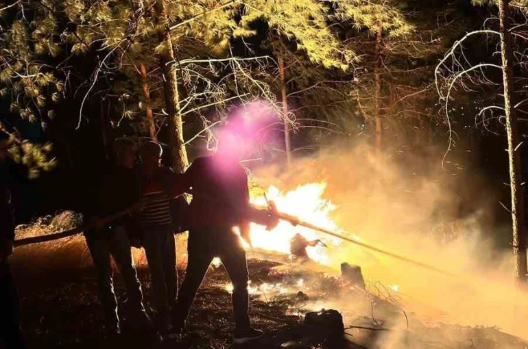 Hatay’da ormanlık alanda çıkan yangın büyümeden söndürüldü 
