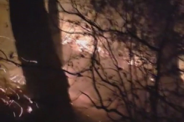 Hatay’da yıldırım düşmesiyle çıkan orman yangına müdahale devam ediyor 