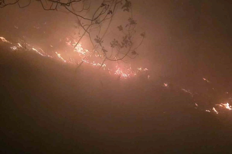 Hatay’da yıldırımın düştüğü ormanlık alanda yangın çıktı