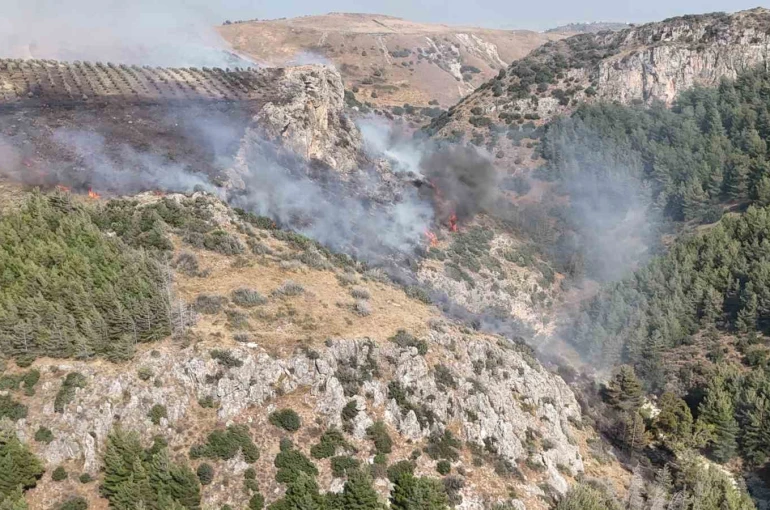 Hatay’daki orman yangını kontrol altına alındı