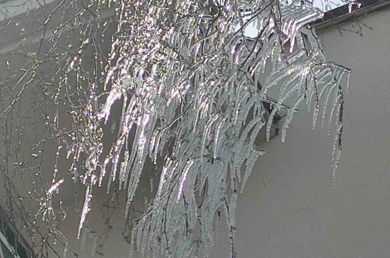 Hava sıcaklığı eksi 10’a düştü, ağaç dalları dondu 