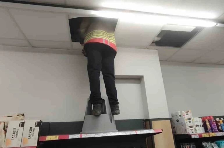 Havalandırma boşluğunda mahsur kalan kediyi itfaiye kurtardı 