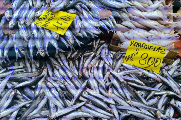 Havaların soğumasıyla balık tezgahlarında alışverişler hızlandı 