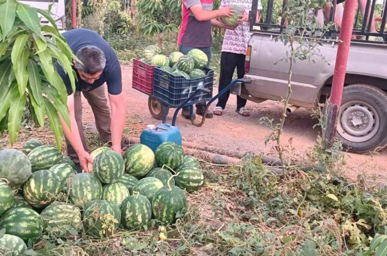 Hayırsever çiftçinin tarlası bu yıl öğrencilerin için hasat edildi