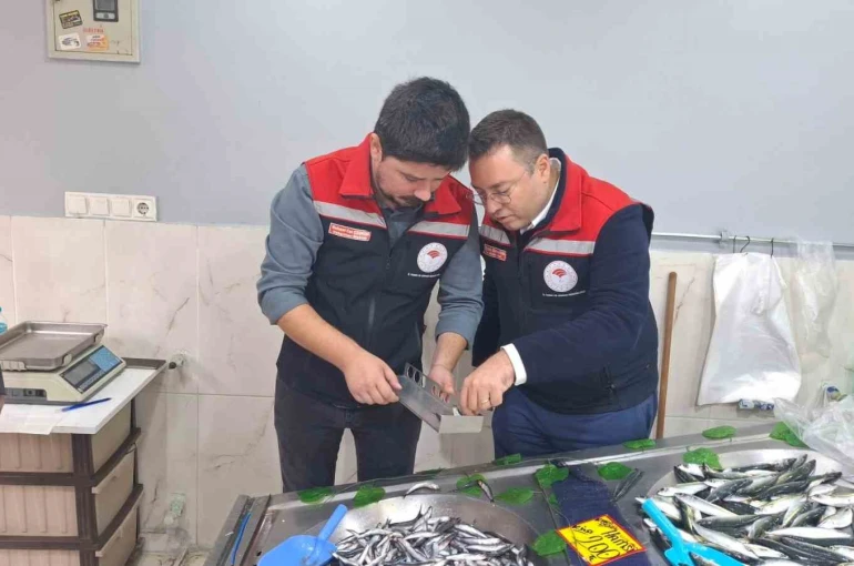 Hayrabolu’da balık satış yerleri denetlendi 