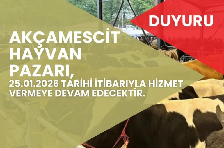 Hayvan pazarı 4 ay sonra yeniden hizmete açılacak 