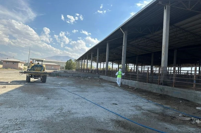 Hayvan pazarında dezenfeksiyon çalışması yapıldı 