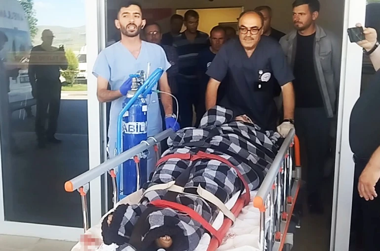 Hayvanlarını otlatırken ayı saldırısına uğradı, Kangallar imdadına yetişti 