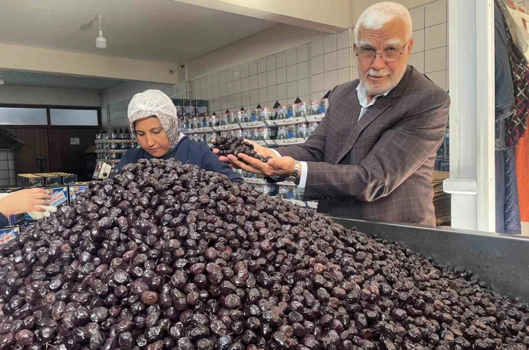 Her 6 sofralık zeytinden birini Bursa ve Balıkesir üretecek 