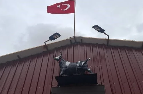 Heykeli gerçek sanıp kaçtı: Tosunun şaşkınlığı sosyal medyada gündem oldu