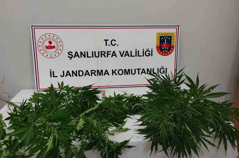 Hilvan’da uyuşturucu ele geçirildi
