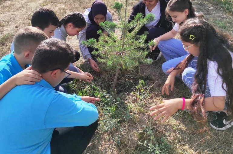Hisarcık AİHL’de ilk ders, "Yeşil Vatan" 
