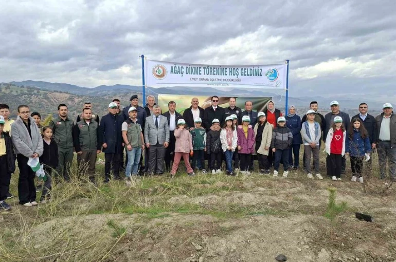 Hisarcık’ta Milli Ağaçlandırma Gününde 150 fidan toprakla buluştu 