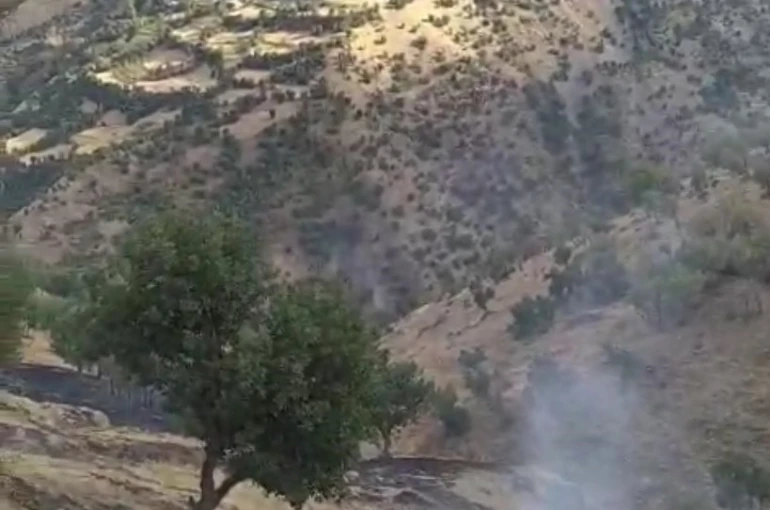 Hizan’da anız yangını 