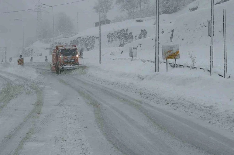 Hopa-Borçka karayolunda kar ve tipi ulaşımı güçleştiriyor 