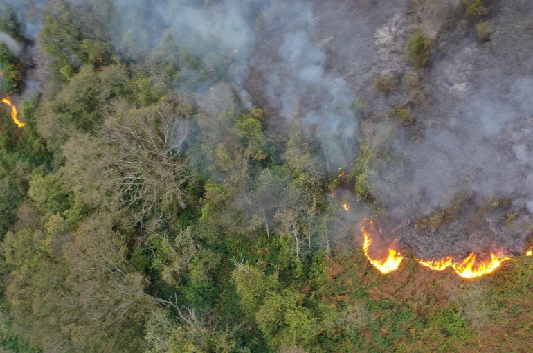 Hopa’daki orman yangını söndürüldü, soğutma çalışmaları sürüyor