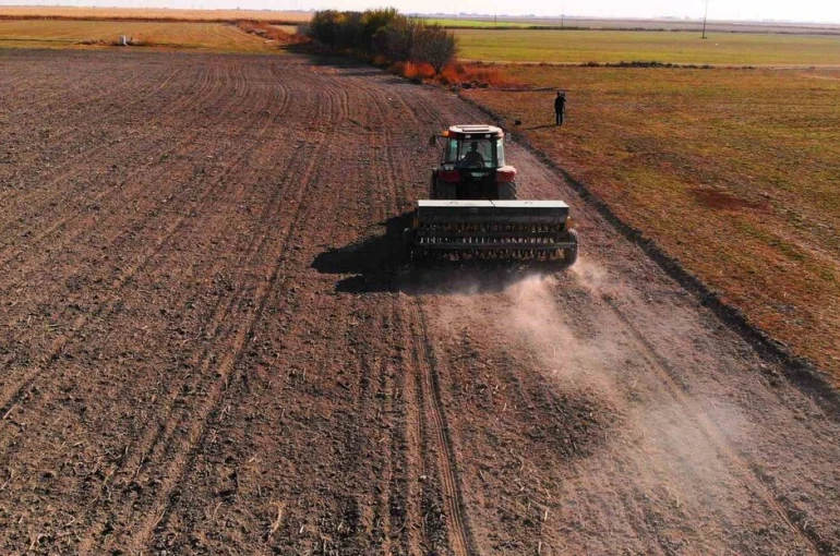 Hububat ekiminde ’uyguna bulduk derken’ rekolteden olmayın uyarısı 