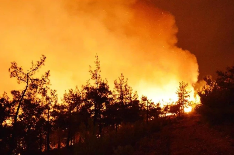İran’da ki orman yangınlarına Türkiye'den yardım: 2 uçak gönderiliyor