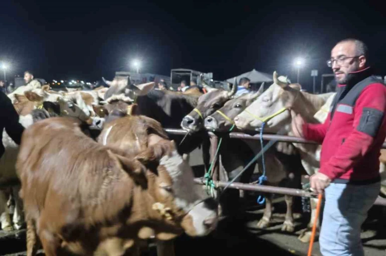 İç Anadolu’nun en büyük hayvan pazarında yoğun kurban mesaisi başladı 