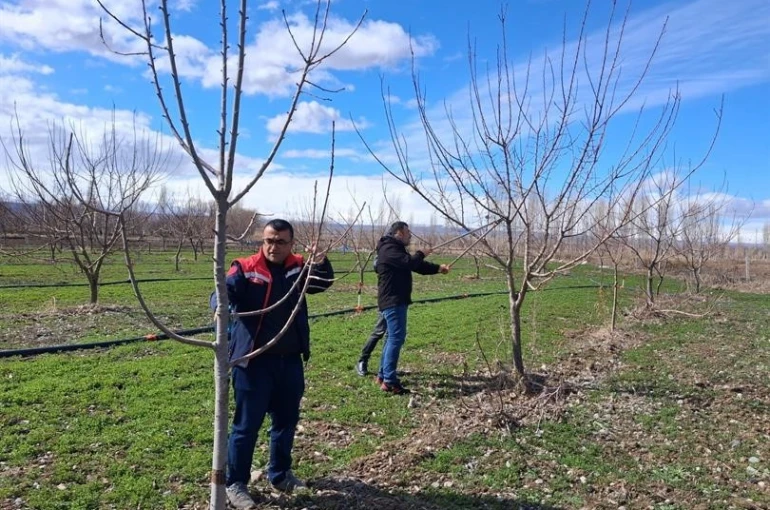 Iğdır’da çiftçilere uygulamalı meyve ağacı budama eğitimi 