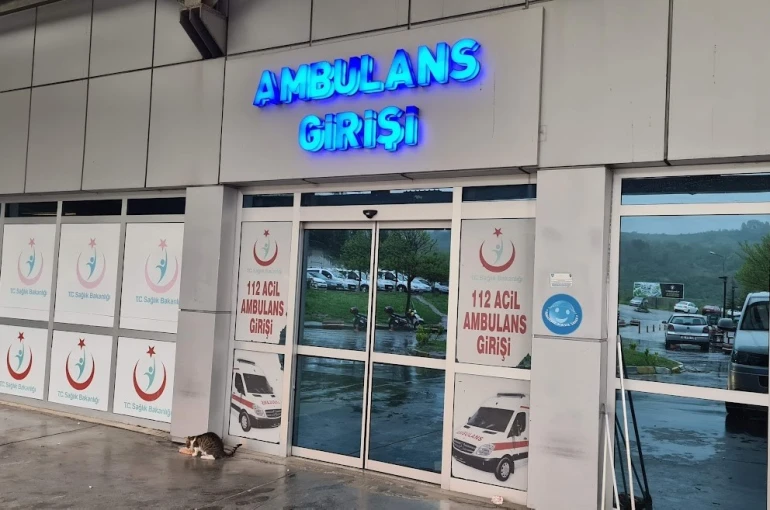 Ihlamur ağacından düşen kadın yaralandı 