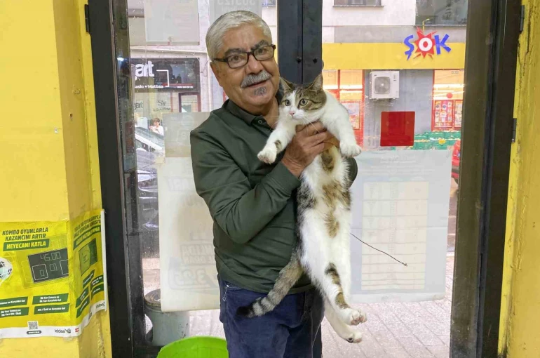 İki defa terk edilen kediye işletmeci sahip çıktı 