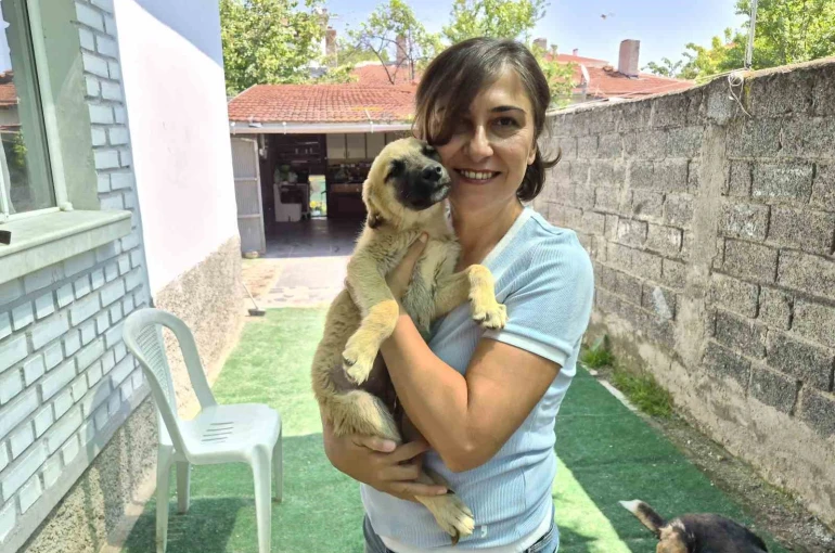İki gönüllünün şefkat eli yüzlerce sokak hayvanına ulaşıyor