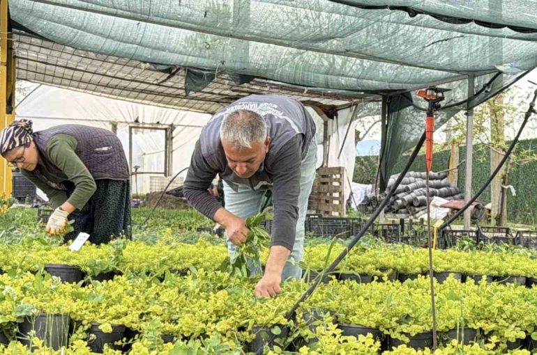 İklim değişikliği ve kuraklık nedeniyle su tasarruflu peyzaj dönemi 