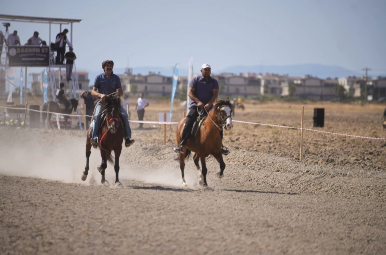 İlk kez düzenlenen 1. Ayvalık Rahvan Atları Yarışlarına ilgi yoğun oldu 